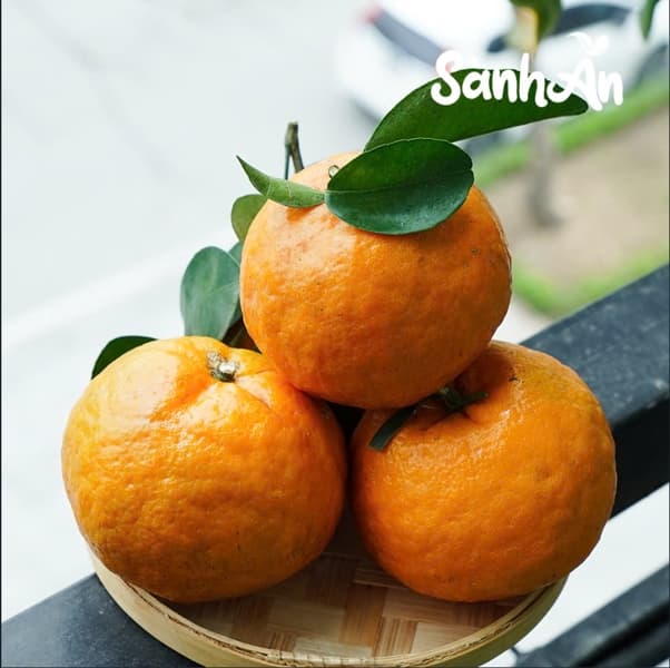 Cam sành Hà Giang 2