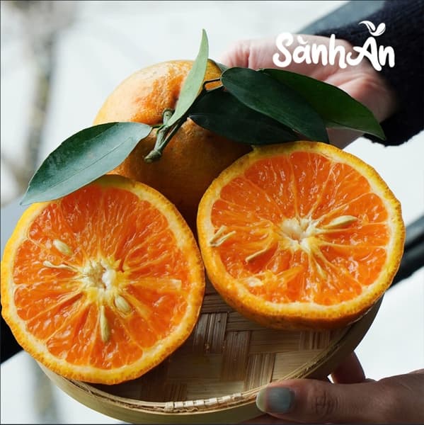 Cam sành Hà Giang 4