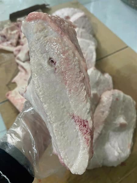 Nầm sữa lợn bản 4