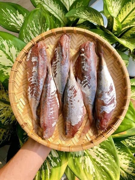 Cá nục bỏ da size 12-16 (khay) 4