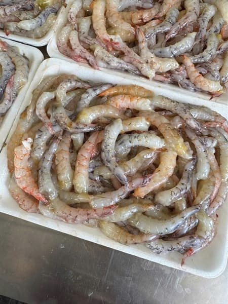 Tôm Sắt 500g 2
