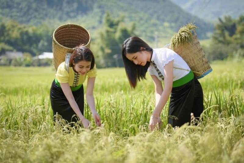 Quẩy nếp Tú Lệ 4