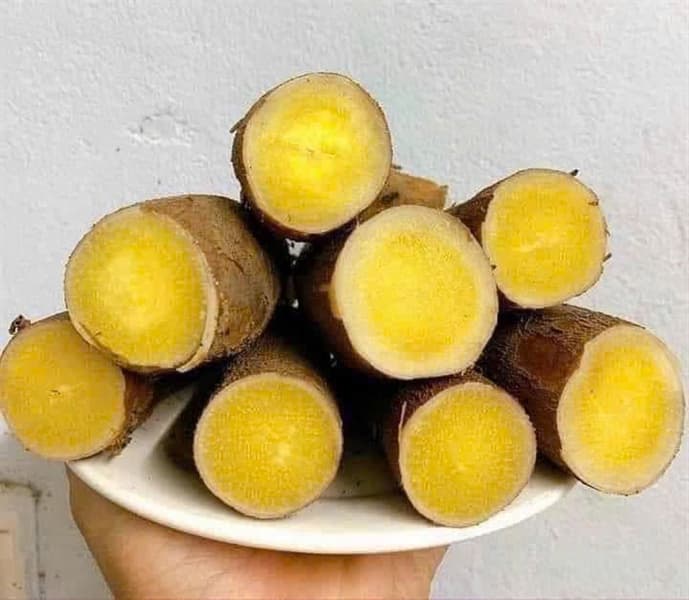 Sắn dẻo ruột vàng 3
