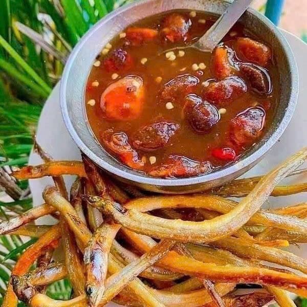 Cá sụn sịn 3