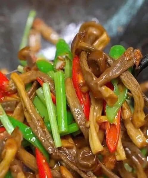 Nấm lộc nhung 2