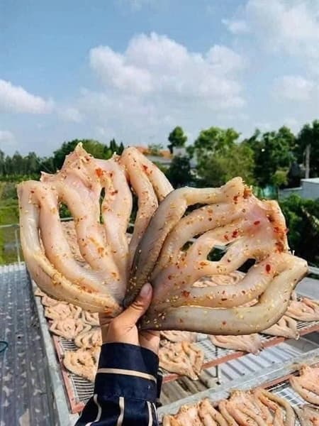 Cá lóc 1 nắng 3