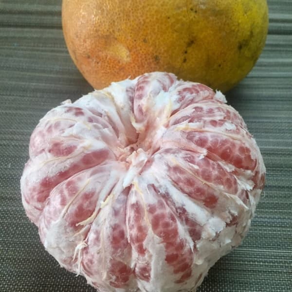 Bưởi Đỏ Tân Lạc Hòa Bình 3