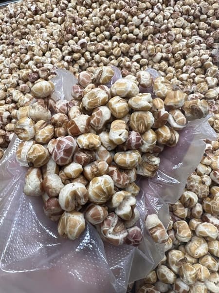 Ngô Nếp Nổ Vị Nhạt Tây Bắc 500g 2