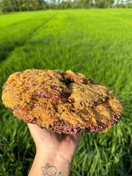 Cơm Cháy Gạo Lứt 500g· 3