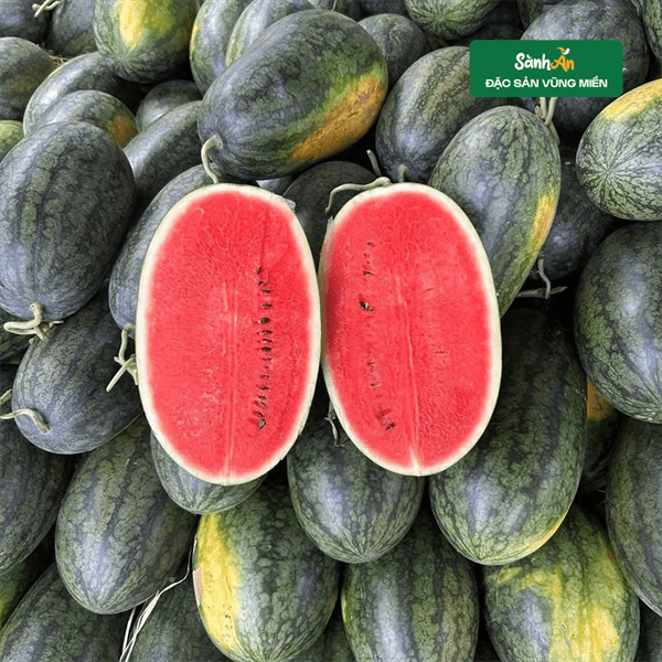 Dưa hấu bãi bồi sông Lam 4