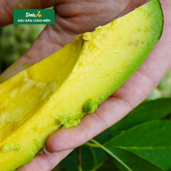 Bơ sáp ông Tĩnh Đà Lạt 2