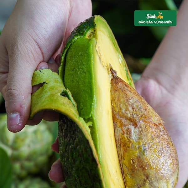 Bơ sáp ông Tĩnh Đà Lạt 3