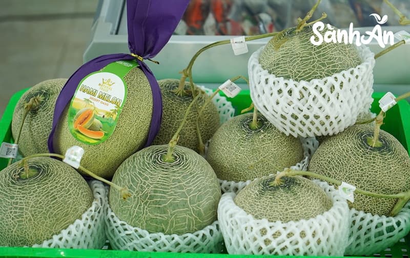Dưa lưới TL3 2