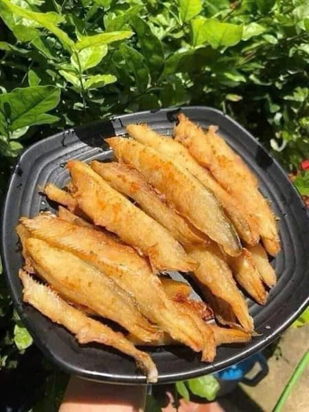 Cá Mối rút xương 500g 3