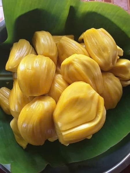 Mít thái bổ miếng 2