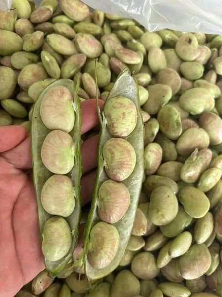 Đậu Ngự 500g 4