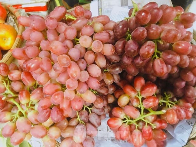 Nho đỏ ruby 4