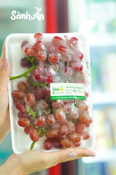 Nho đỏ ruby 3