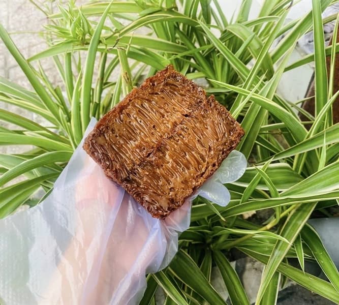 Bánh bò thốt nốt 3