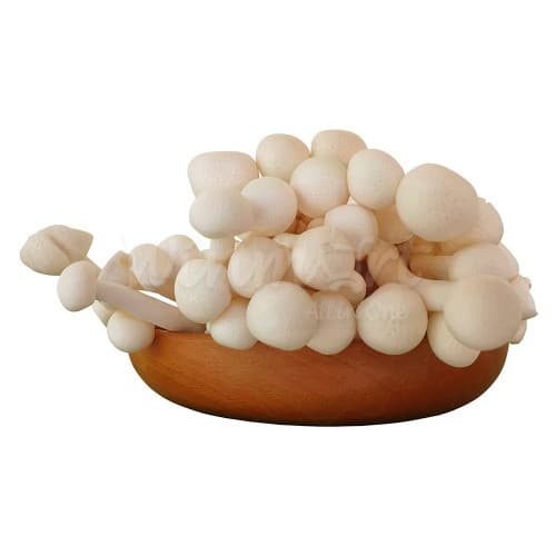 Nấm hải sản 3
