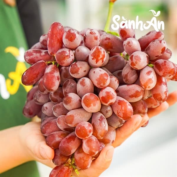 Nho đỏ ruby