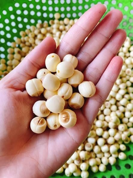 Hạt sen Hội An 500g 5
