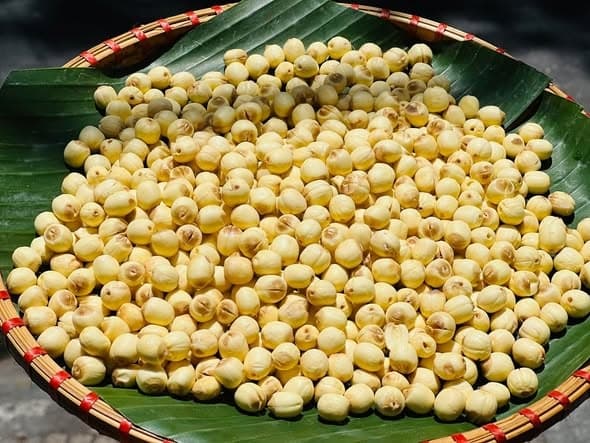 Hạt sen Hội An 500g 3