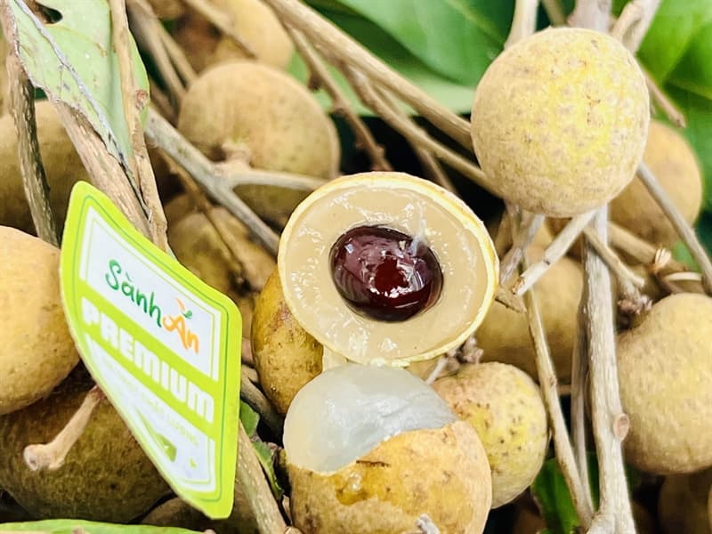 Nhãn Thái 4