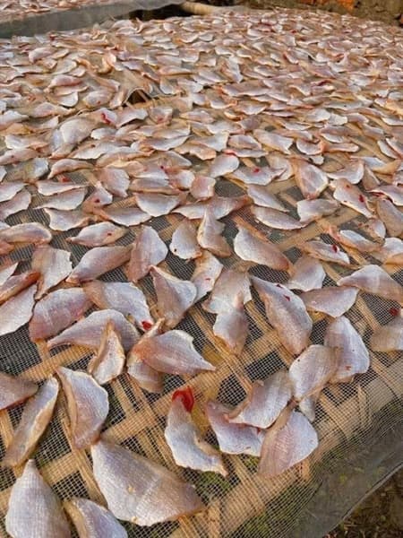 Cá man phi lê 1 nắng 500g