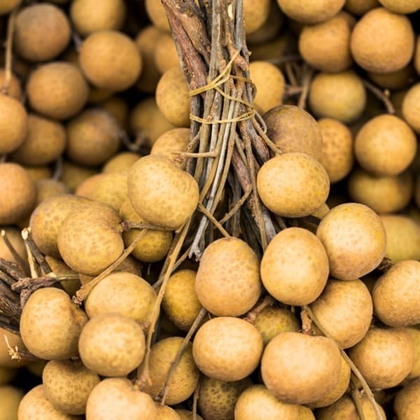 Nhãn Thái 5