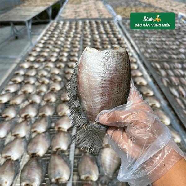 Cá Sặc Rằn 1 Nắng 500g 3