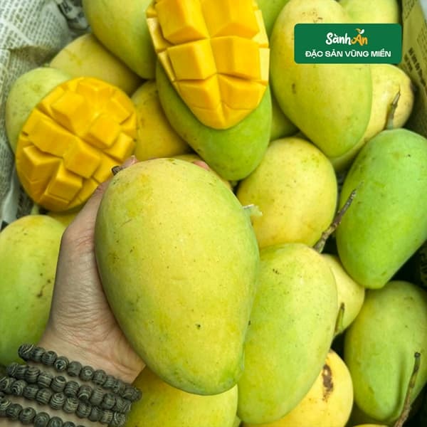 Xoài cát chu xanh 2