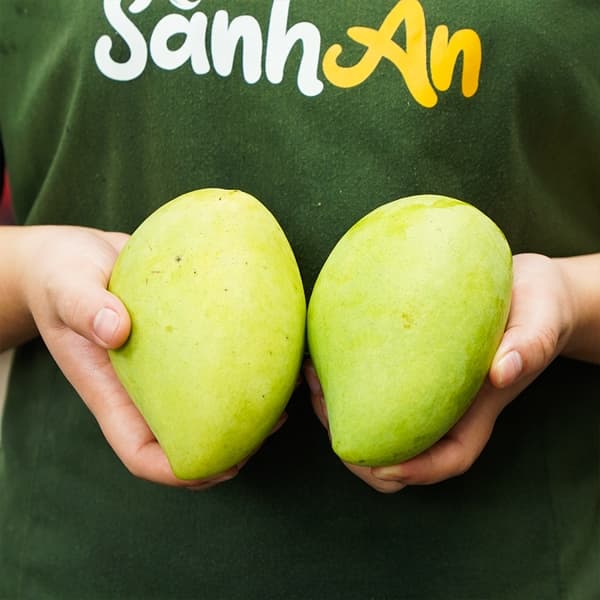 Xoài cát chu xanh 3