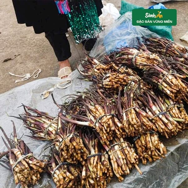 Ngó khoai Tủa Chùa Điện Biên 3