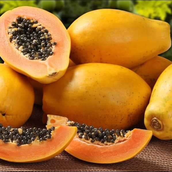 Đu đủ Đài Nông