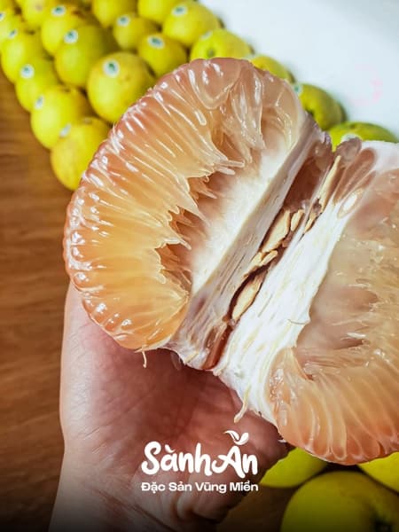 Bưởi Phúc Trạch Hà Tĩnh Size ~1kg 4