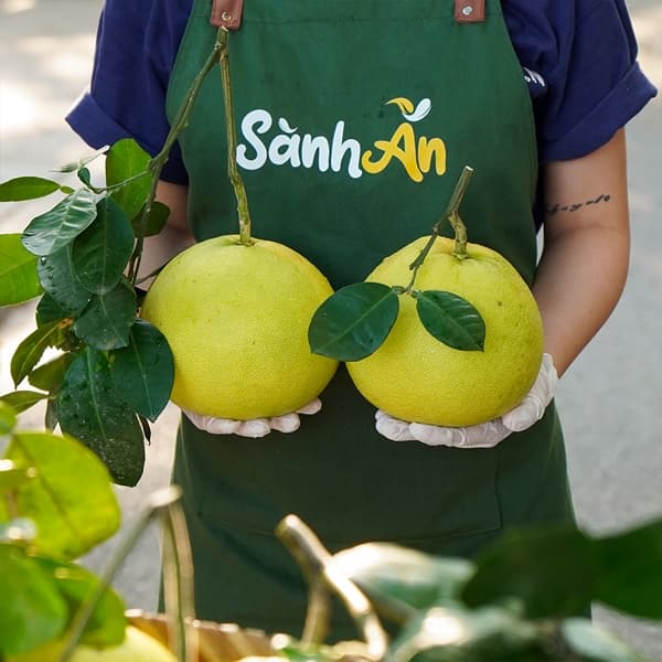 Bưởi Phúc Trạch Hà Tĩnh Size ~1kg 3