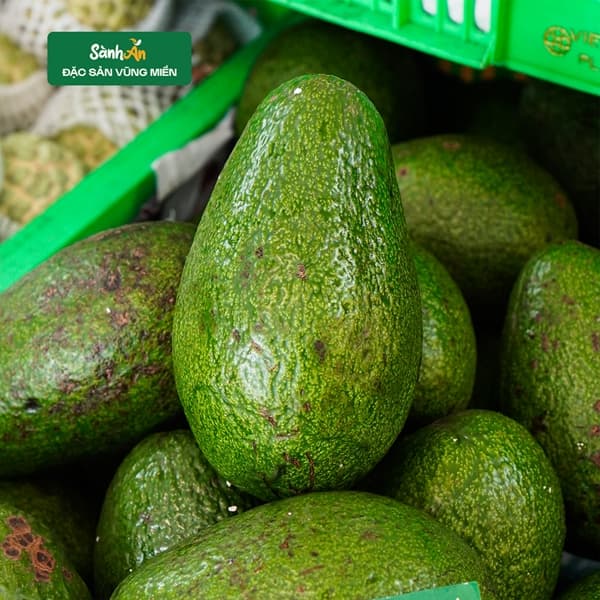 Bơ sáp ông Tĩnh Đà Lạt 5