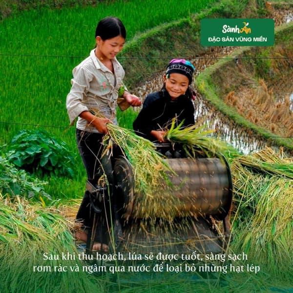 Cốm Tú Lệ 1Kg 4