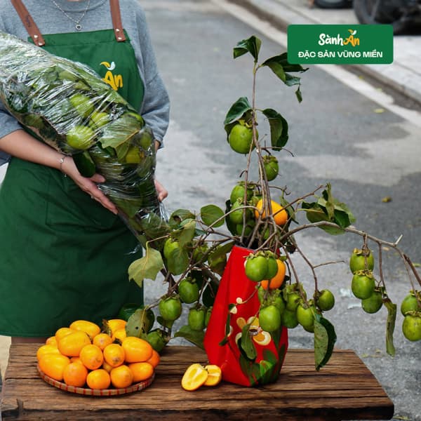 Cành hồng rừng Sơn La