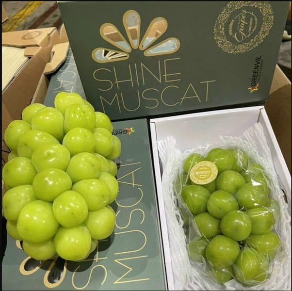 Nho Sữa Shine - Muscat hộp