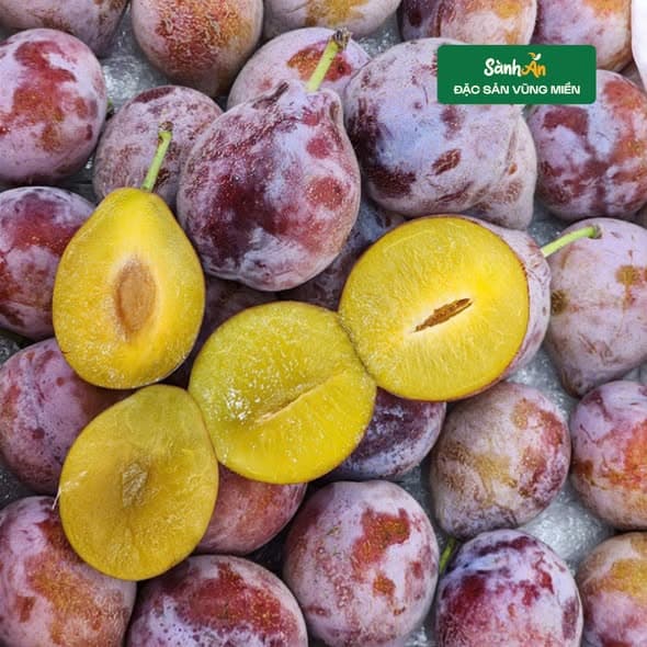 Mận đường nhót