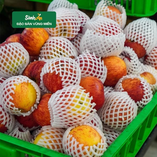 Táo đường