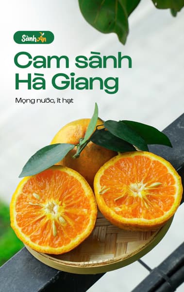 Cam sành Hà Giang