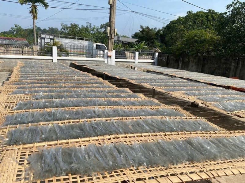 Miến dong Đồi Cao sợi nhỏ 500g 5